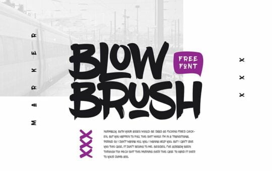 01_blowbrush_free-font.jpg