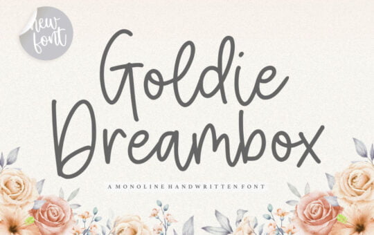 800_3809563_b3k6q6lh0m8zfu9sc3wh8paheokr5oka6zau6rs4_goldie-dreambox-monoline-handwritten-font.jpg
