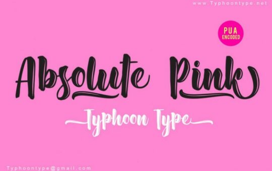 Absolute-Pink-Script-Font.jpg