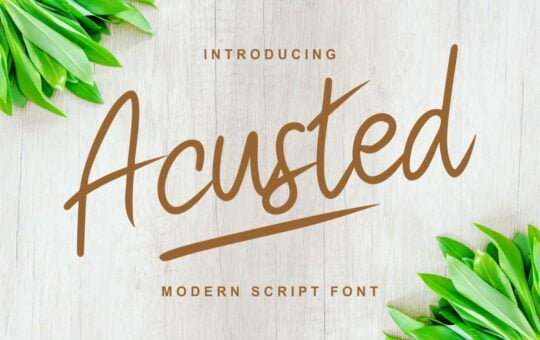 Acusted-Modern-Script-Font-1.jpg