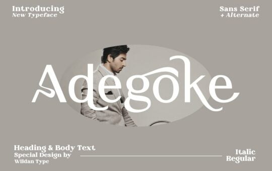 Adegoke-Sans-Serif-Font-1.jpg