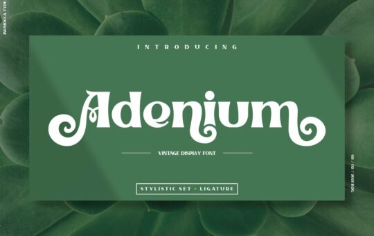 Adenium-Font.jpg