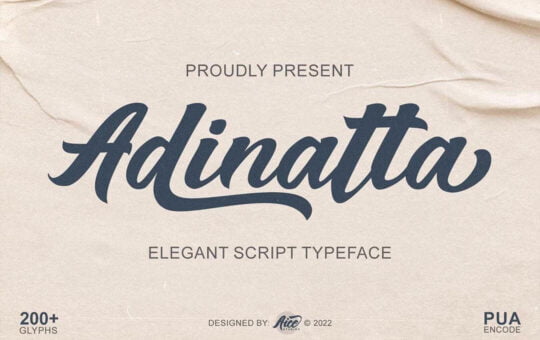 Adinatta-Elegant-Script-Font-1.jpg