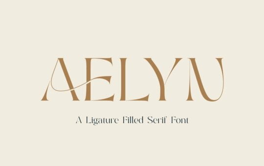 Aelyn-Ligature-Serif-Font-1.jpg