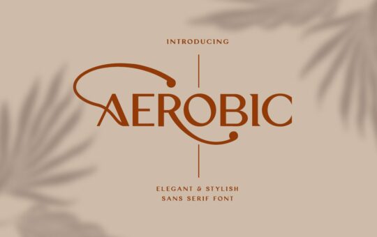 Aerobic-Sans-Serif-Font-1.jpg