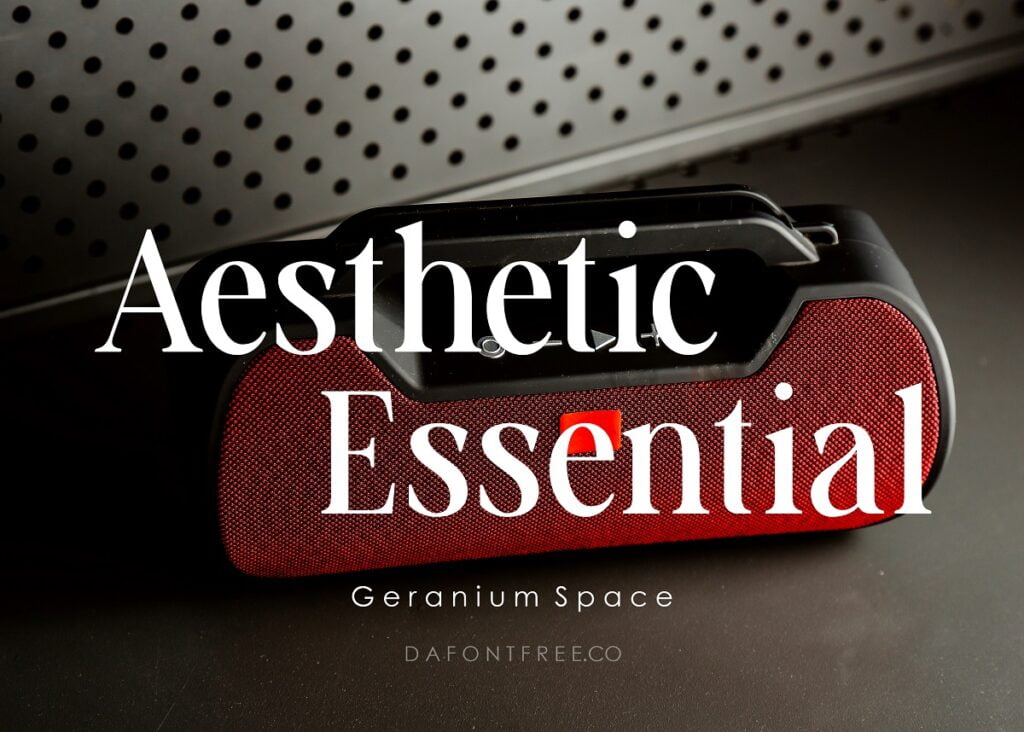 Aesthetic-Essential-Serif-Font-1.jpg