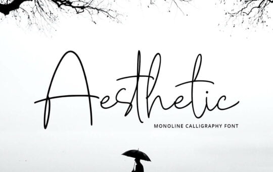 Aesthetic-Script-Monoline-Font-1.jpg