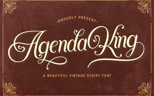 Agenda-King-Calligraphy-Vintage-Script-Font-1.jpg