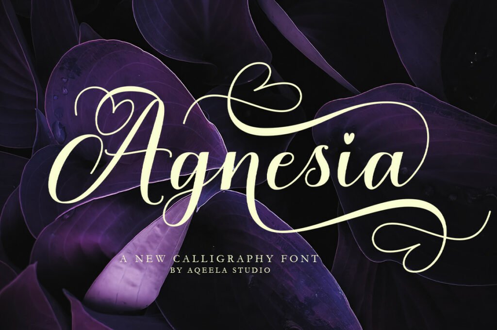 Agnesia-Calligraphy-Font-1.jpg