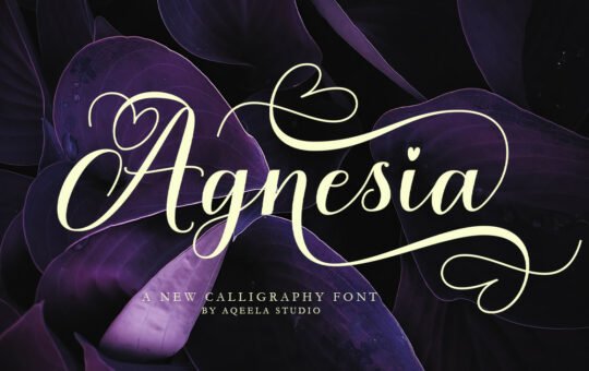 Agnesia-Calligraphy-Font-1.jpg