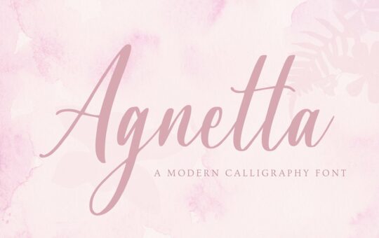 Agnetta-Calligraphy-Script-Font-1.jpg