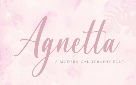 Agnetta-Calligraphy-Script-Font.jpg