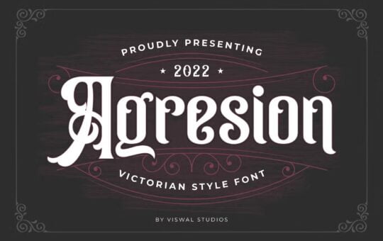 Agresion-Vintage-Font-1.jpg