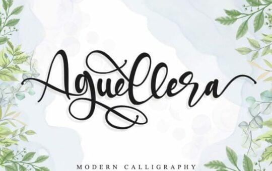 Aguellera-Font-1.jpg