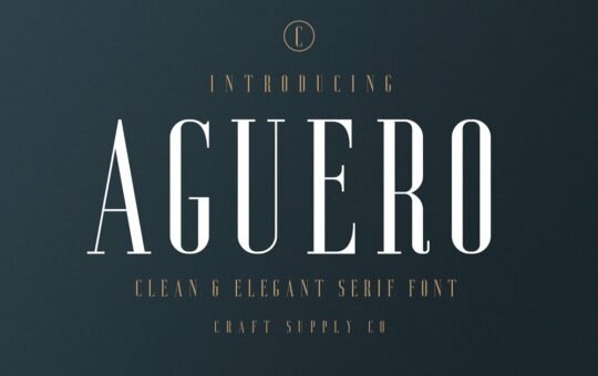 Aguero-Serif-Font.jpg