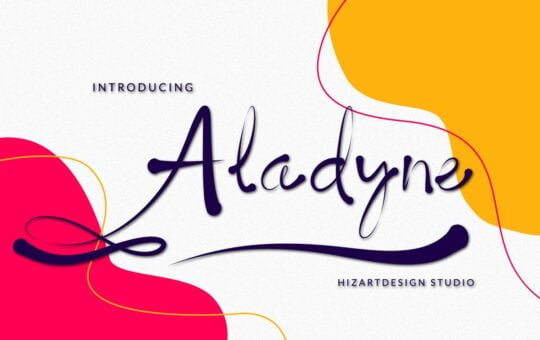 Aladyne-Modern-Script-Font-1.jpg