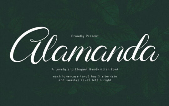 Alamanda-Calligraphy-Font-1.jpg