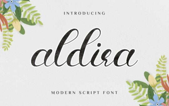Aldira-Calligraphy-Script-Font-1.jpg