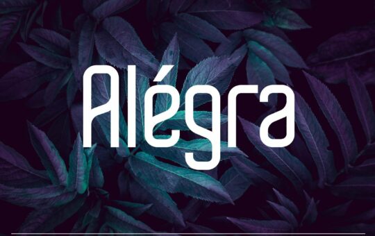 Alegra-Typeface.jpg