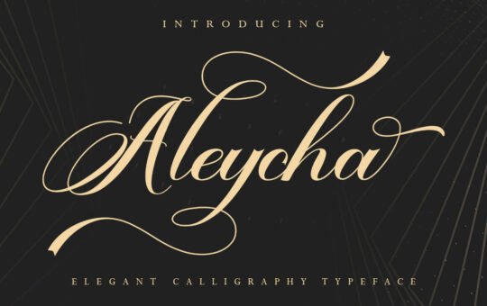 Aleycha-Calligraphy-Font-1.jpg