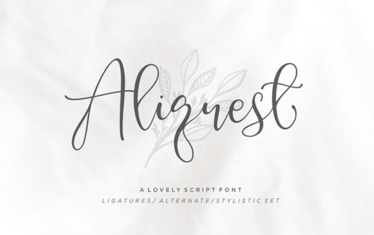 Aliquest-Script-Font.jpg