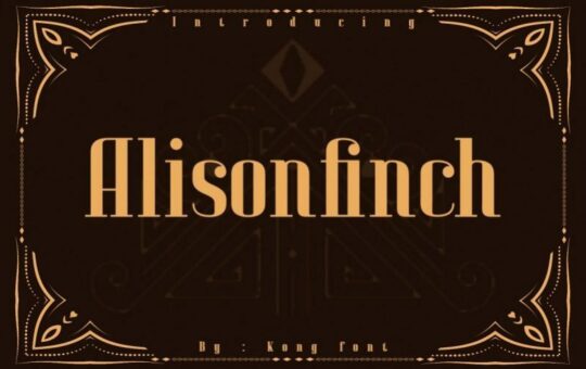 Alison-Finch-Display-Font-1.jpg