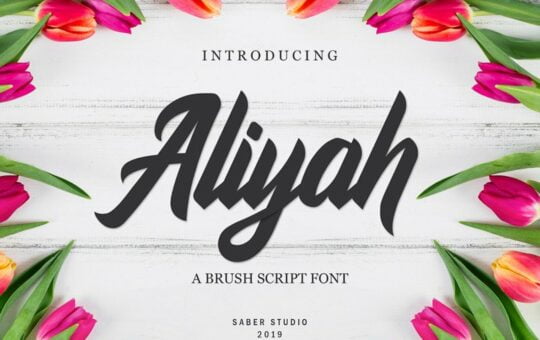 Aliyah-Script-Font-Free.jpg