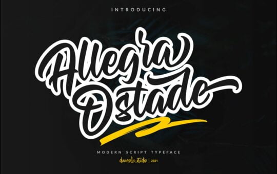 Allegra-Ostade-Bold-Script-Font-1.jpg