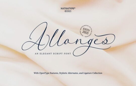 Allonges-Calligraphy-Font-1.jpg