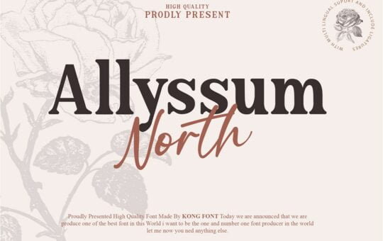 Allyssum-North-Font-Duo-1.jpg