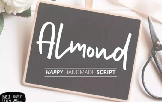 Almond-Hand-Lettering-Script-Fonts-1.jpg