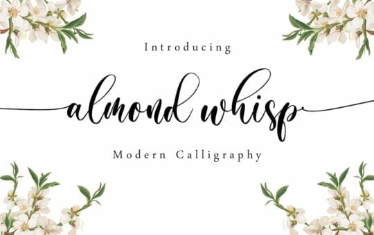 Almond-Whisp-Modern-Calligraphy-Font-1.jpg