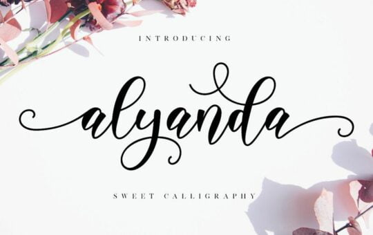 Alyanda-Calligraphy-Font.jpg