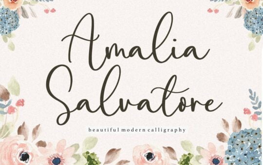 Amalia-Salvatore-Calligraphy-Script-Font-1.jpg