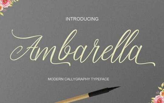 Ambarella-Font.jpg
