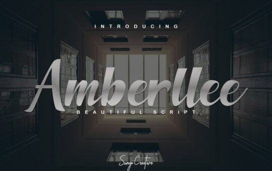 Amberllee-Modern-Script-Typeface.jpg