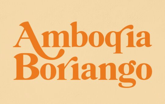Amboqia-Boriango-Serif-Display-Font-1.jpg