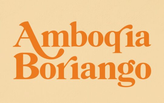 Amboqia-Boriango-Serif-Display-Font.jpg