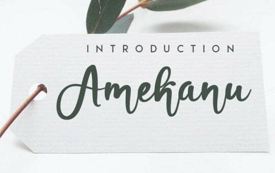 Amekanu-Script-Font-1.jpg