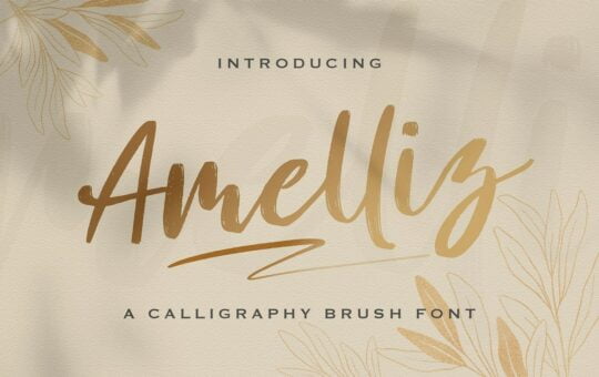 Amelliz-Brush-Script-Font-1.jpg