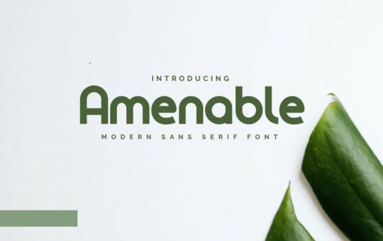 Amenable-Sans-Serif-Font-1.jpg