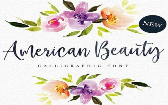 American-Beauty-Font.jpg
