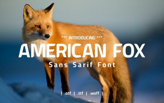 American-Fox-Font.jpg