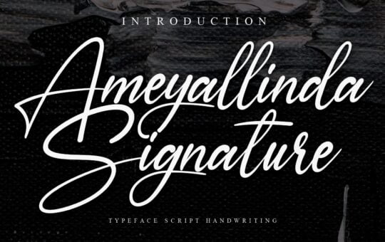 Ameyallinda-Signature-Handwritten-Typeface-1.jpg