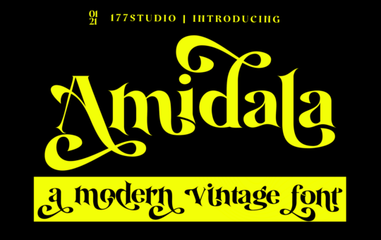 Amidala-Classy-Serif-Font-1.png