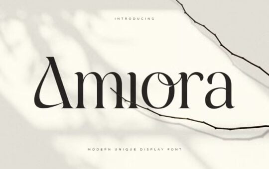 Amiora-Modern-Serif-Font-1.jpg