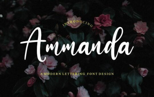 Ammanda-Handwritten-Script-Font-1.jpg