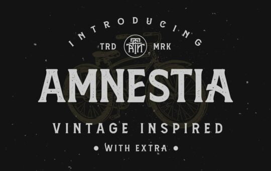 Amnestia-Display-Serif-Typeface.jpg
