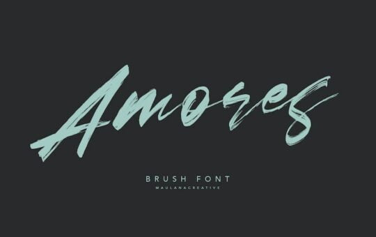 Amores-Brush-Script-Font-1.jpg