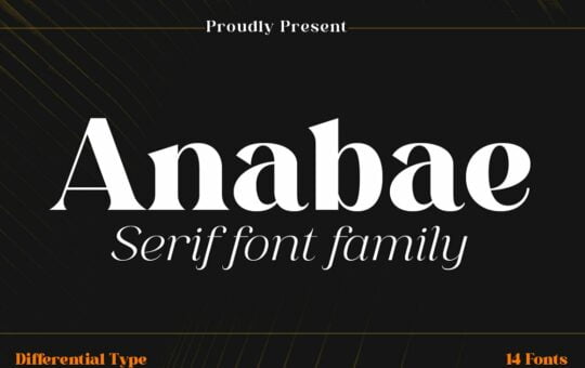Anabae-Bold-Serif-Font-1.jpg